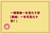一棵黄精一年发几个芽(黄精：一年可发几个芽？)