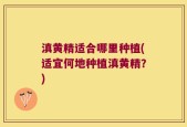 滇黄精适合哪里种植(适宜何地种植滇黄精？)