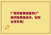 广西种植黄精案例(广西种植黄精成功，绽放全球市场)
