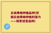 云南黄精种植品种(挖掘云南黄精种植的潜力——探索适宜品种)