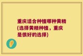 重庆适合种植哪种黄精(选择黄精种植，重庆是很好的选择)