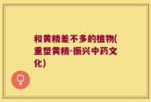 和黄精差不多的植物(重塑黄精-振兴中药文化)