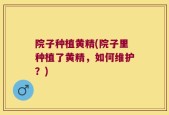 院子种植黄精(院子里种植了黄精，如何维护？)