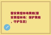 磐安黄檀林场黄精(磐安黄檀林场：保护黄精，守护生态)