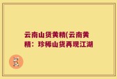 云南山货黄精(云南黄精：珍稀山货再现江湖