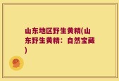 山东地区野生黄精(山东野生黄精：自然宝藏)