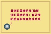 桑椹配黄精防风(桑椹搭配黄精防风：有效预防感冒和增强免疫系统)