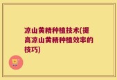 凉山黄精种植技术(提高凉山黄精种植效率的技巧)
