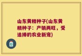 山东黄精种子(山东黄精种子：产销两旺，受追捧的农业新宠)