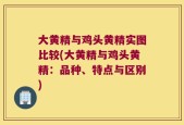 大黄精与鸡头黄精实图比较(大黄精与鸡头黄精：品种、特点与区别)