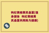 枸杞黄精黄芪桑葚(强身健体  枸杞黄精黄芪桑葚共同助力健康)