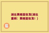 湖北黄精苗批发(湖北重磅：黄精苗批发！)