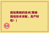 栽培黄精的技术(黄精栽培技术详解，高产好收！)