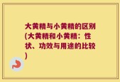 大黄精与小黄精的区别(大黄精和小黄精：性状、功效与用途的比较)