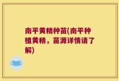 南平黄精种苗(南平种植黄精，苗源详情请了解)