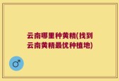 云南哪里种黄精(找到云南黄精最优种植地)