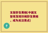 文登野生黄精(中国文登现发现珍稀野生黄精，成为关注焦点)