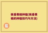 枫香黄精种植(枫香黄精的种植技巧与方法)