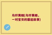 乌杆黄精(乌杆黄精，一对宝贝的幕后故事)