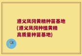 遵义凤冈黄精种苗基地(遵义凤冈种植黄精 高质量种苗基地)