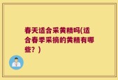 春天适合采黄精吗(适合春季采摘的黄精有哪些？)