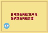 巴马野生黄精(巴马现保护野生黄精资源)