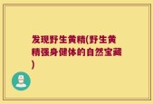 发现野生黄精(野生黄精强身健体的自然宝藏)