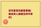 淫羊藿菊花鹿茸黄精(提高男人健康五种中草药)