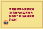 滇黄精和鸡头黄精区别(滇黄精与鸡头黄精有何不同？解析两种黄精的区别)