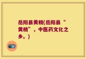 岳阳县黄精(岳阳县“黄精”，中医药文化之乡。)