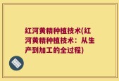 红河黄精种植技术(红河黄精种植技术：从生产到加工的全过程)