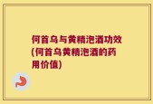 何首乌与黄精泡酒功效(何首乌黄精泡酒的药用价值)