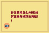 野生黄精怎么分辨(如何正确分辨野生黄精？)