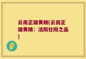 云南正雄黄精(云南正雄黄精：活阳壮阳之品)
