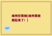 嵊州挖黄精(嵊州黄精掘起来了！)