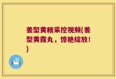 姜型黄精采挖视频(姜型黄露丸，惊艳绽放！)