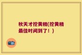 秋天才挖黄精(挖黄精最佳时间到了！)