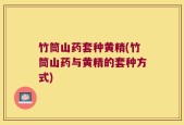 竹筒山药套种黄精(竹筒山药与黄精的套种方式)