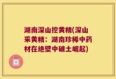 湖南深山挖黄精(深山采黄精：湖南珍稀中药材在绝壁中破土崛起)