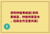 求购种植黄精苗(求购黄精苗，种植所需苗木，招商合作互惠共赢)