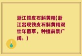 浙江铁皮石斛黄精(浙江出现铁皮石斛黄精双壮年菌草，种植前景广阔。)