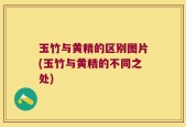 玉竹与黄精的区别图片(玉竹与黄精的不同之处)