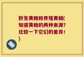 野生黄精和养殖黄精(知道黄精的两种来源？比较一下它们的差异！)