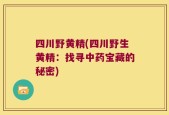 四川野黄精(四川野生黄精：找寻中药宝藏的秘密)
