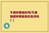牛粪种黄精好吗(牛粪施肥种黄精真的有效吗？)