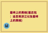 墓碑上的黄精(墓志铭：追思袍泽江以及墓碑上的黄精)