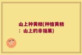 山上种黄精(种植黄精：山上的幸福果)