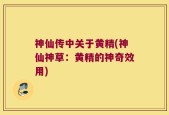 神仙传中关于黄精(神仙神草：黄精的神奇效用)