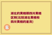 湖北的黄精跟四川黄精区别(比较湖北黄精和四川黄精的差异)