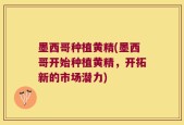 墨西哥种植黄精(墨西哥开始种植黄精，开拓新的市场潜力)